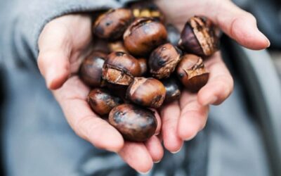 Kestanenin fiyatı cep yakıyor