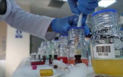 Kimya sektörü ihracatı ekim ayında yüzde 8 arttı