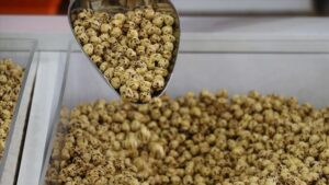 Nohutta üretim düştü leblebi fiyatı fırladı