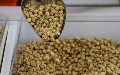 Nohutta üretim düştü leblebi fiyatı fırladı