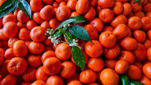 Mandalina ihracatı 10 ayda yüzde 34 artarak 375 milyon dolar oldu