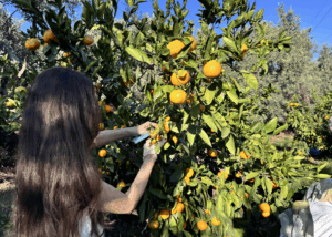 30 öğrenci bir oldu Hatay'a akın etti