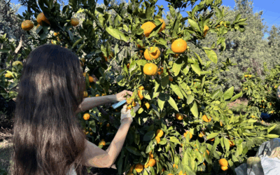 30 öğrenci bir oldu Hatay'a akın etti
