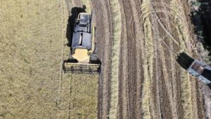 TMO’dan arpa ve mısır ithalatı açıklaması: Karar yeni değil, kontenjan güncellemesi