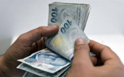 Atalarından kalan mirasa sahip çıktılar: Bin derde deva ürünle zengin oldular