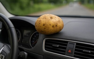 Aracınıza bir patates koyun faydasını görün