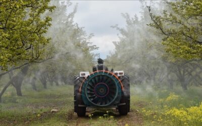 Gıdalarda pestisit limitleri güncellendi: Listeye bu bitki de eklendi