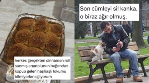 Yerli ve Milli Cinnamon Roll&apos;dan İlişki Koçu Kediye Son 24 Saatin Viral Tweetleri
