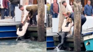 Fotoğraf Sevdası Yine Başa Bela Oldu: İtalya&apos;da Bir Kadın Fotoğraf Çekmek İsterken Suya Düştü