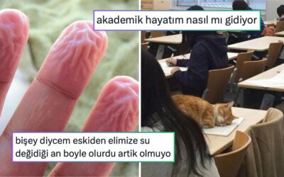Yanlışlıkla Metrobüsü Şarj Edenden 2025’i Acı Bir Şekilde Özetleyene Son 24 Saatin Viral Tweetleri