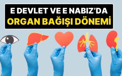 Organ Bağışında Yeni Dönem: E Devlet ve E Nabız Üzerinden Organ Bağışı Yapılacak
