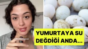 Bir Diyetisyen, Yumurtaları Neden Yıkamamamız Gerektiğini Açıkladı!