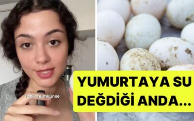 Bir Diyetisyen, Yumurtaları Neden Yıkamamamız Gerektiğini Açıkladı!