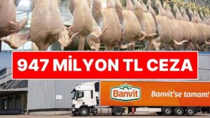 Piliç Eti Soruşturmasında Ceza Yağmuru: Rekabet Kurulu’ndan Banvit’e 947 Milyon 305 Bin TL Ceza
