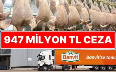 Piliç Eti Soruşturmasında Ceza Yağmuru: Rekabet Kurulu’ndan Banvit’e 947 Milyon 305 Bin TL Ceza