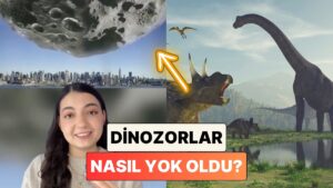 &quot;Bir Gök Taşı Bütün Dinozorları Nasıl Yok Etti?&quot; Diyenler İçin Anlattı: Dinozorlar Nasıl Yok Oldu?