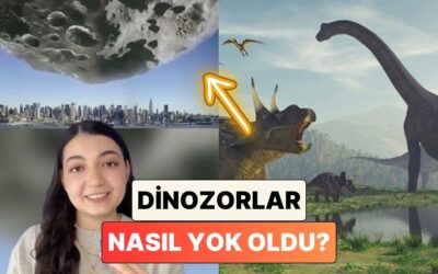 &quot;Bir Gök Taşı Bütün Dinozorları Nasıl Yok Etti?&quot; Diyenler İçin Anlattı: Dinozorlar Nasıl Yok Oldu?