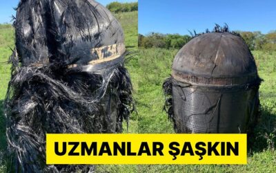 Arjantin&apos;de Bir Çiftliğe Düşen Tüylü Nesnenin Ne Olduğu Araştırılıyor