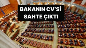 Romanya Savunma Bakanı&apos;nın CV&apos;si Sahte Çıktı, İstifa Etmek Zorunda Kaldı