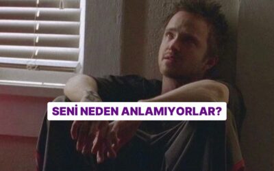 Seni Neden Anlamıyorlar?