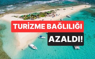 Yapay Zeka Küçücük Ülkeyi Servet Sahibi Yaptı: 1 Yılda 48 Milyon Dolar Kazandılar