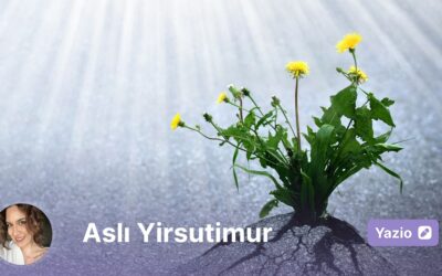 Artık Kimse Büyük Hayaller Kurmuyor