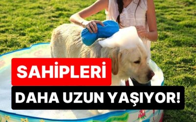 Artık Bilim de Onayladı: Evde Köpek Besleyenler Daha Uzun ve Mutlu Yaşıyor