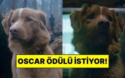 Good Boy’un Köpek Yıldızı Oscar’a Göz Koydu: “En İyi Erkek Oyuncu Kategorisi”