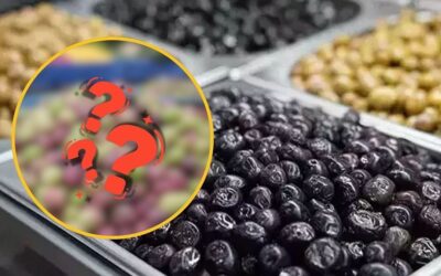 Ne Siyah Ne Yeşil! En Sağlıklı Zeytin Çeşidi Bakın Hangisi Çıktı