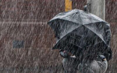 12 Kasım Çarşamba Adana Hava Durumu: Adana’da Hava Durumu Bugün Nasıl?