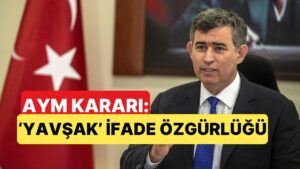 Anayasa Mahkemesi, Metin Feyzioğlu'na Yavşak Diyen Avukatın Cezalandırılmasına "İhlal" Dedi