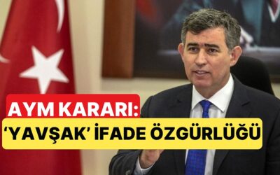 Anayasa Mahkemesi, Metin Feyzioğlu&apos;na Yavşak Diyen Avukatın Cezalandırılmasına &quot;İhlal&quot; Dedi