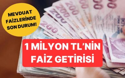 Mevduat Faizlerinde Son Durum: 1 Milyon TL&apos;nin Aylık Getirisi Ne Kadar?