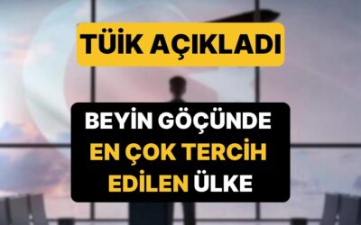 Ne Hollanda Ne Almanya: TÜİK Türkiye'nin Beyin Göçü Verilerini Açıkladı, En Çok Gidilen Ülke Belli Oldu!