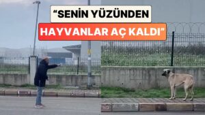 Bir Adamın Poğaça Verdiği Köpekle Yaşadığı Tartışma İzleyenleri Güldürdü: &quot;Senin Yüzünden Hayvanlar Aç Kaldı.&quot;