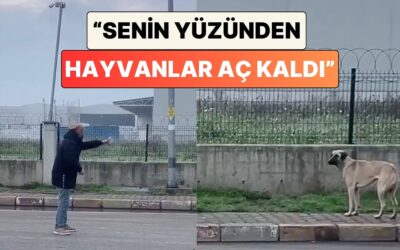 Bir Adamın Poğaça Verdiği Köpekle Yaşadığı Tartışma İzleyenleri Güldürdü: "Senin Yüzünden Hayvanlar Aç Kaldı."