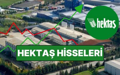 HEKTAŞ Kimin, Ne Zaman Kuruldu ve Ortakları Kimler? HEKTAŞ Hisse Senedi Fiyatı ve Ayrıntıları