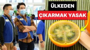 Turistler Tatmak İçin Sıraya Giriyor: Ülke Dışına Çıkarmanın Yasak Olduğu Altın Değerindeki Meyve