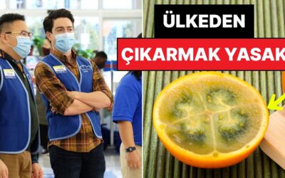 Turistler Tatmak İçin Sıraya Giriyor: Ülke Dışına Çıkarmanın Yasak Olduğu Altın Değerindeki Meyve