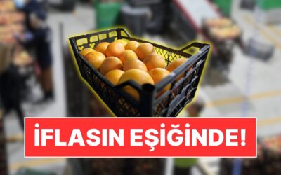 25 Ülkeye Meyve İhraç Eden Türk Gıda Devi Konkordato İlan Etti
