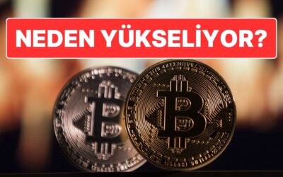 Bitcoin Tüm Zamanların Rekorunu Kırdı: Bitcoin Neden Yükseliyor?