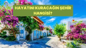 Hayatını Kuracağın Şehir Neresi?
