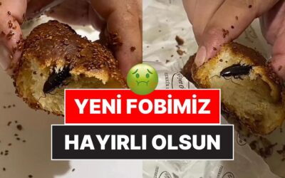 Midesi Yeten Baksın: Aldığı Poğaçanın İçinden Zeytin Yerine Böcek Çıktı
