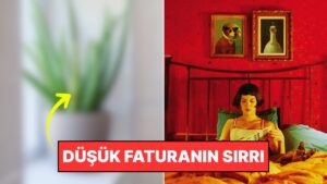 Evinizi Sıcak Tutmakta Kaloriferi Bile Geride Bırakacak Basit Tüyo