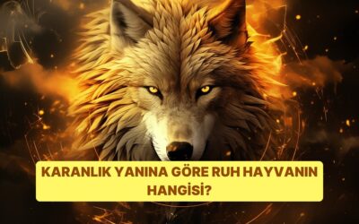 Karanlık Yanına Göre Ruh Hayvanın Ne?