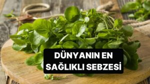 Dünyanın En Sağlıklı Sebzesi İlk Akla Gelen Tüm Sebzeleri Geride Bıraktı