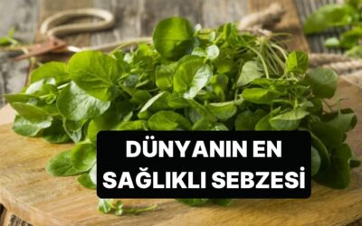 Dünyanın En Sağlıklı Sebzesi İlk Akla Gelen Tüm Sebzeleri Geride Bıraktı