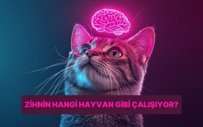 Zihninin Hangi Hayvan Gibi Çalıştığını Öğrenmek İçin Bu Soruyu Yanıtla!