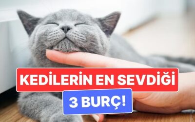 Kedilerin Ruh Eşi Gibi Olan 3 Burç: Aynı Enerjiden Besleniyorlar!