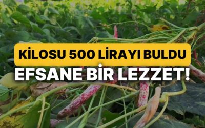 Halkın &quot;Beyaz Altın&quot; Dediği Ürün Ünlü Şeflerin Vazgeçilmezi Oldu: Kilosu 500 Lirayı Buldu!